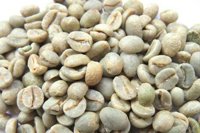 Giá cà phê ngày 21/07/2023: Lo lắng về nguồn cung giúp cà phê Arabica tăng giá