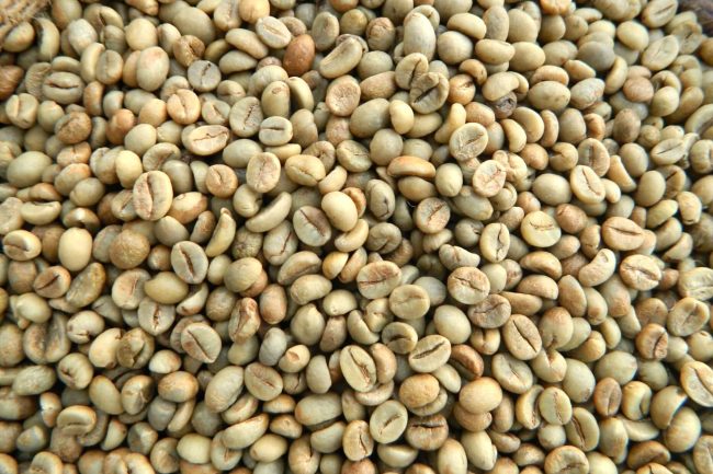 Giá cà phê ngày 06/09/2023: Cà phê Arabica tăng giá do mưa lớn ở Brazil