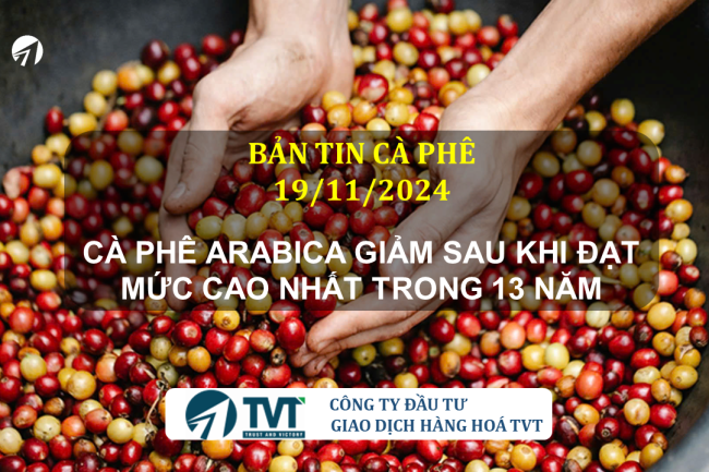 Bản tin cà phê 19/11/2024: Cà phê Arabica giảm sau khi đạt mức cao nhất trong 13 năm