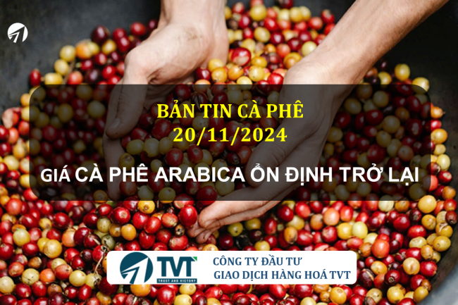 Bản tin cà phê 20/11/2024: Cà phê Arabica ổn định trở lại