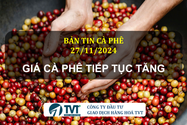 Bản tin cà phê 28/11/2024: Giá Cà phê tiếp tục tăng mạnh