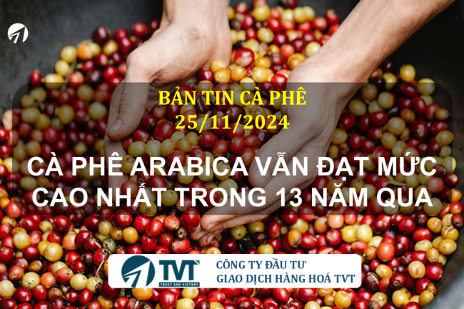 Bản tin cà phê 25/11/2024: Cà phê Arabica vẫn đạt mức cao nhất trong 13 năm qua