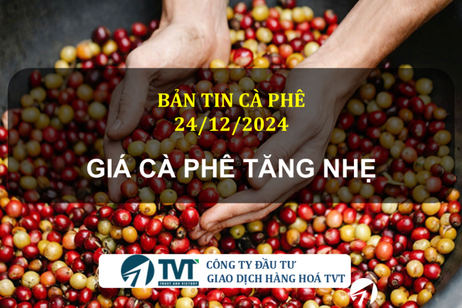 Bản tin cà phê 12412/2024: Giá cà phê tăng nhẹ