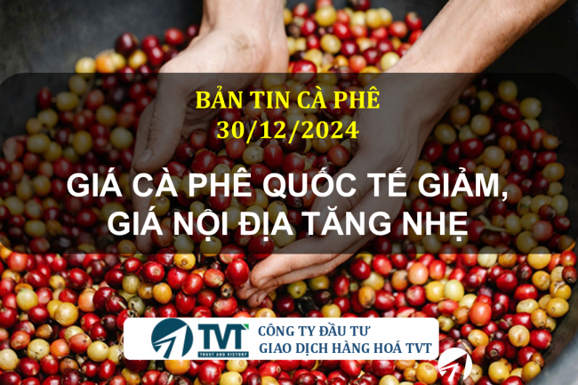 Bản tin cà phê 30/12/2024: Giá cà phê quốc tế giảm, giá nội địa tăng nhẹ