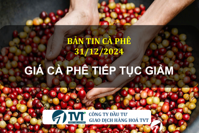 Bản tin cà phê 31/12/2024: Giá cà phê tiếp tục giảm