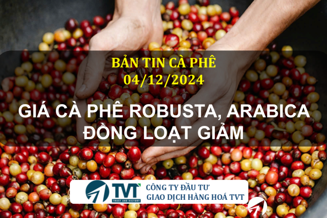 Bản tin cà phê 04/12/2024: Giá cà phê Robusta, Arabica đồng loạt giảm