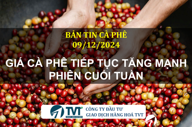 Bản tin cà phê 09/12/2024: Giá cà phê tiếp tục tăng mạnh phiên cuối tuần
