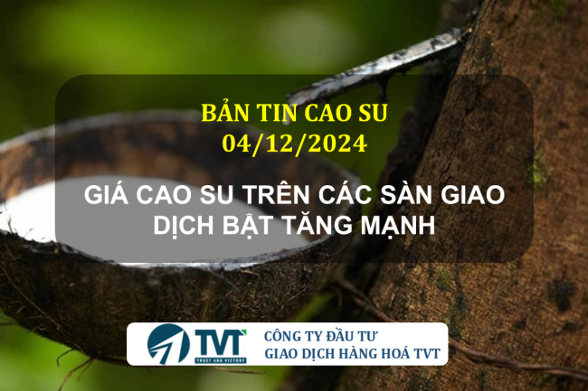 Bản tin cao su 04/12/2024: Giá cao su trên các sàn giao dịch bật tăng mạnh