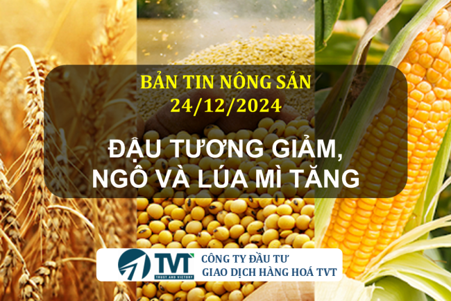 Bản tin nông sản 24/12/2024: Đậu tương giảm, Ngô và Lúa mì tăng