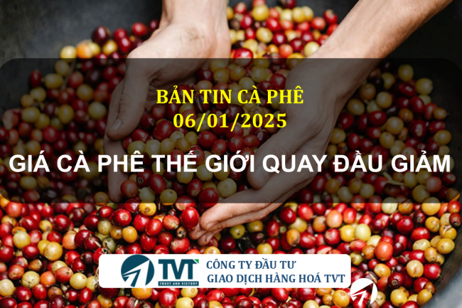 Bản tin cà phê 06/01/2025: Giá cà phê thế giới quay đầu giảm