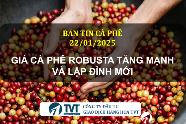 Bản tin cà phê 22/01/2025: Giá cà phê Robusta tăng mạnh và lập đỉnh mới