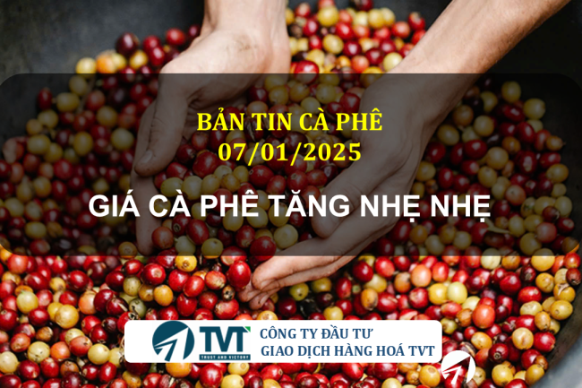 Bản tin cà phê 07/01/2025: Giá cà phê tăng nhẹ