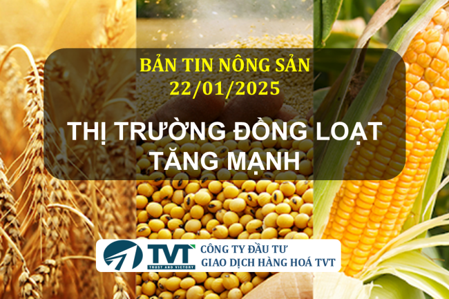 Bản tin nông sản 22/01/2025: Thị trường đồng loạt tăng mạnh