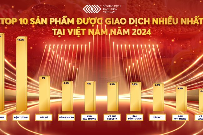 THỊ PHẦN MÔI GIỚI HÀNG HÓA 2024: CUỘC CẠNH TRANH KHỐC LIỆT