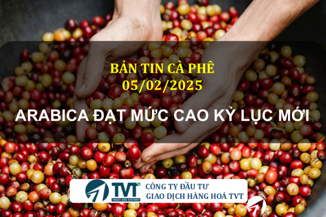 Bản tin cà phê 05/02/2025: Giá cà phê Arabica đạt mức cao kỷ lục mới