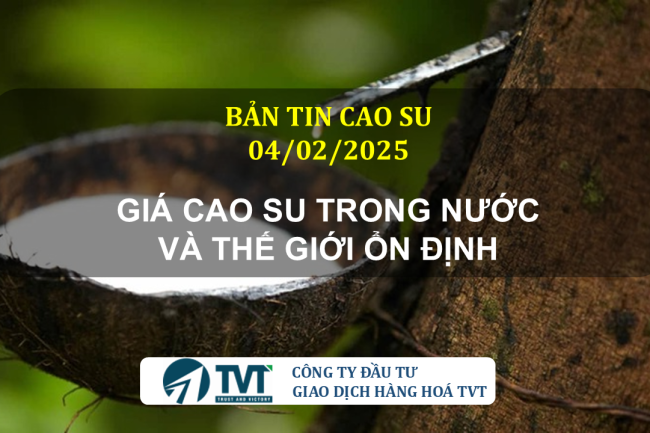 Bản tin cao su 04/02/2025: Giá cao su trong nước và thế giới ổn định