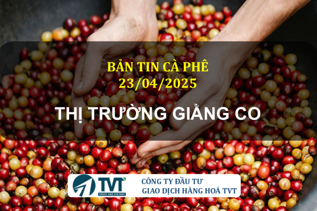 Bản tin cà phê 23/04/2025: Giá cà phê Arabica đảo chiều tăng, hỗ trợ giá Robusta