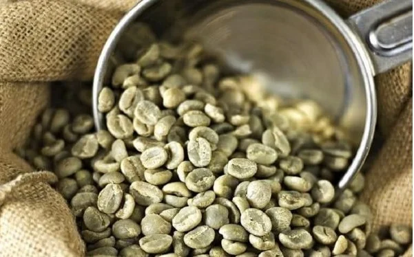 Bản tin cà phê 07/05/2025: Giá cà phê tăng – giảm trái chiều