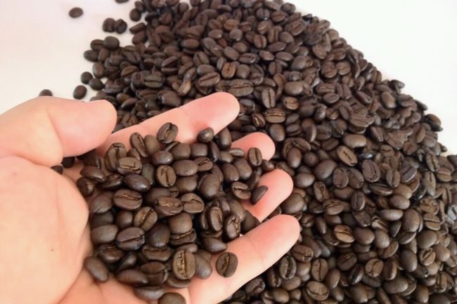 Bản tin cà phê 14/05/2025: Giá cà phê đồng loạt tăng