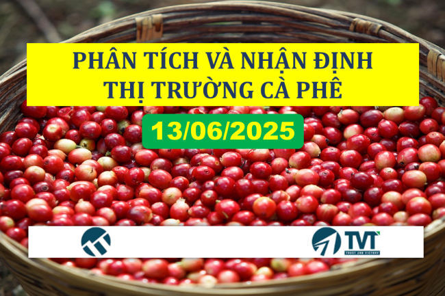 PHÂN TÍCH VÀ NHẬN ĐỊNH THỊ TRƯỜNG CÀ PHÊ 13/06/2025