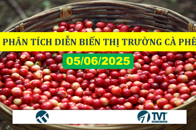 Phân tích diễn biến thị trường cà phê ngày 5/6/2025