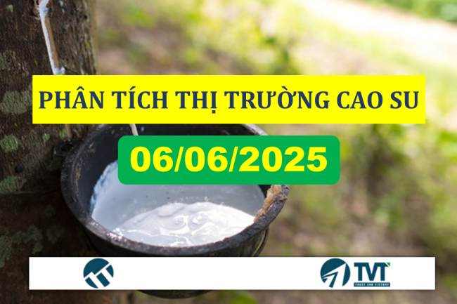 Phân tích thị trường cao su thiên nhiên thế giới ngày 5/6 – sáng ngày 6/6/2025