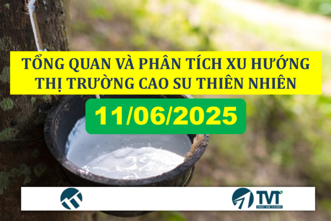 TỔNG QUAN VÀ PHÂN TÍCH XU HƯỚNG THỊ TRƯỜNG CAO SU THIÊN NHIÊN NGÀY 11/06/2025
