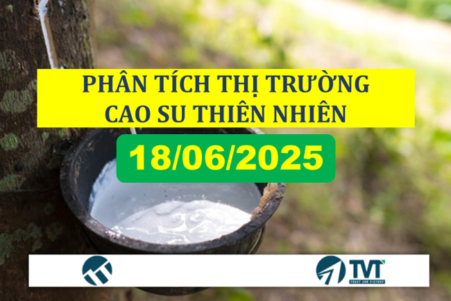 PHÂN TÍCH THỊ TRƯỜNG CAO SU THIÊN NHIÊN NGÀY 18/6/2025