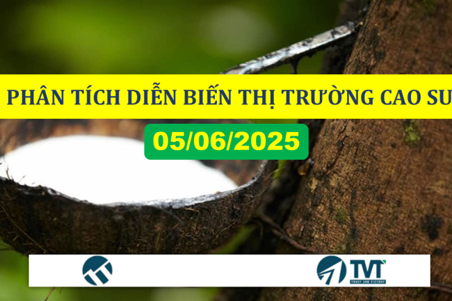 Phân tích diễn biến thị trường cao su thiên nhiên ngày 3–4/06/2025: Tăng nhẹ nhưng tâm lý vẫn thận trọng