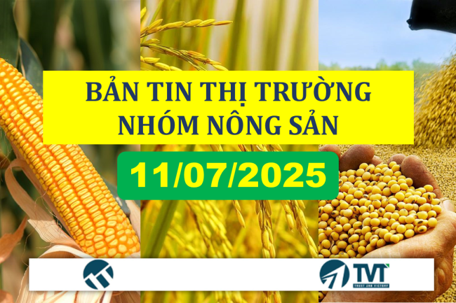 Bản tin nhóm nông sản 11/07/2025: Thị trường hồi phục nhẹ