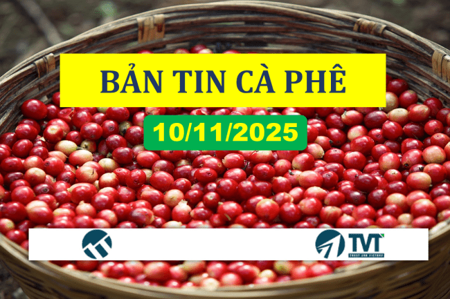 Bản tin cà phê 10/11/2025: Bật tăng mạnh lo ngại nguồn cung gián đoạn