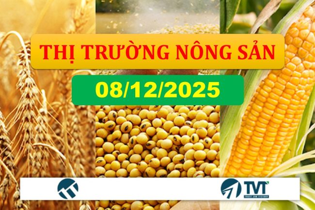 Tổng quan và phân tích thị trường nhóm nông sản tuần 8-12/12/2025