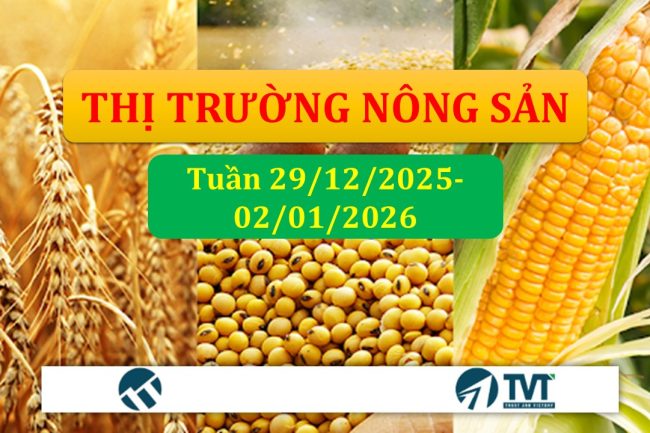 Tổng quan và phân tích thị trường nhóm nông sản tuần 29/12/2025 – 02/01/2026