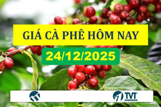 Phân tích và khuyến nghị giao dịch cà phê 24/12/2025