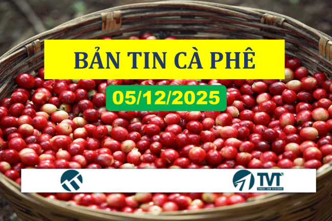 Bản tin cà phê 05/12/2025: Giá cà phê tăng nhẹ trở lại