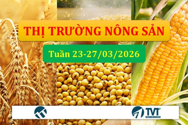 Tổng quan và phân tích thị trường nhóm nông sản tuần 23-27/03/2026