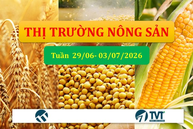 Tổng quan và phân tích thị trường nhóm nông sản tuần 29/06-03/07/2026