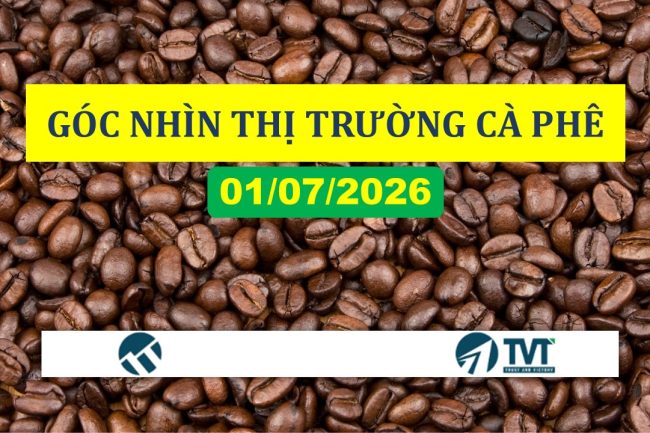 Góc nhìn thị trường cà phê ngày 01/07/2026