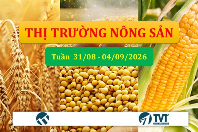 Tổng quan và phân tích thị trường nhóm nông sản tuần 31.08 – 04/09/2026