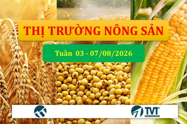 Tổng quan và phân tích thị trường nhóm nông sản tuần 03-07/08/2026