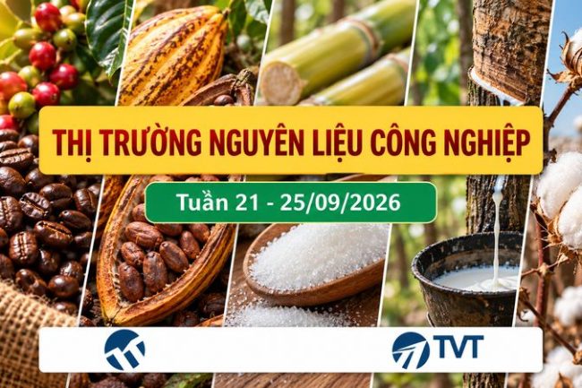 Tổng quan và phân tích mặt hàng nhóm nguyên liệu công nghiệp tuần 21 – 25/09/2026