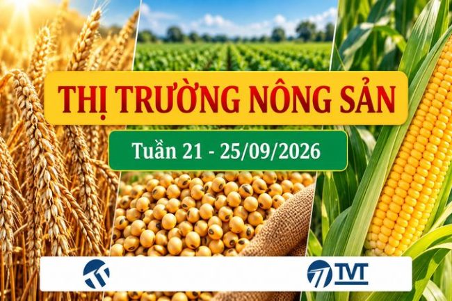 Tổng quan và phân tích thị trường nhóm nông sản tuần 21 – 25/09/2026