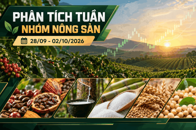 Tổng quan và phân tích thị trường nhóm nông sản tuần 28/09 – 02/10/2026
